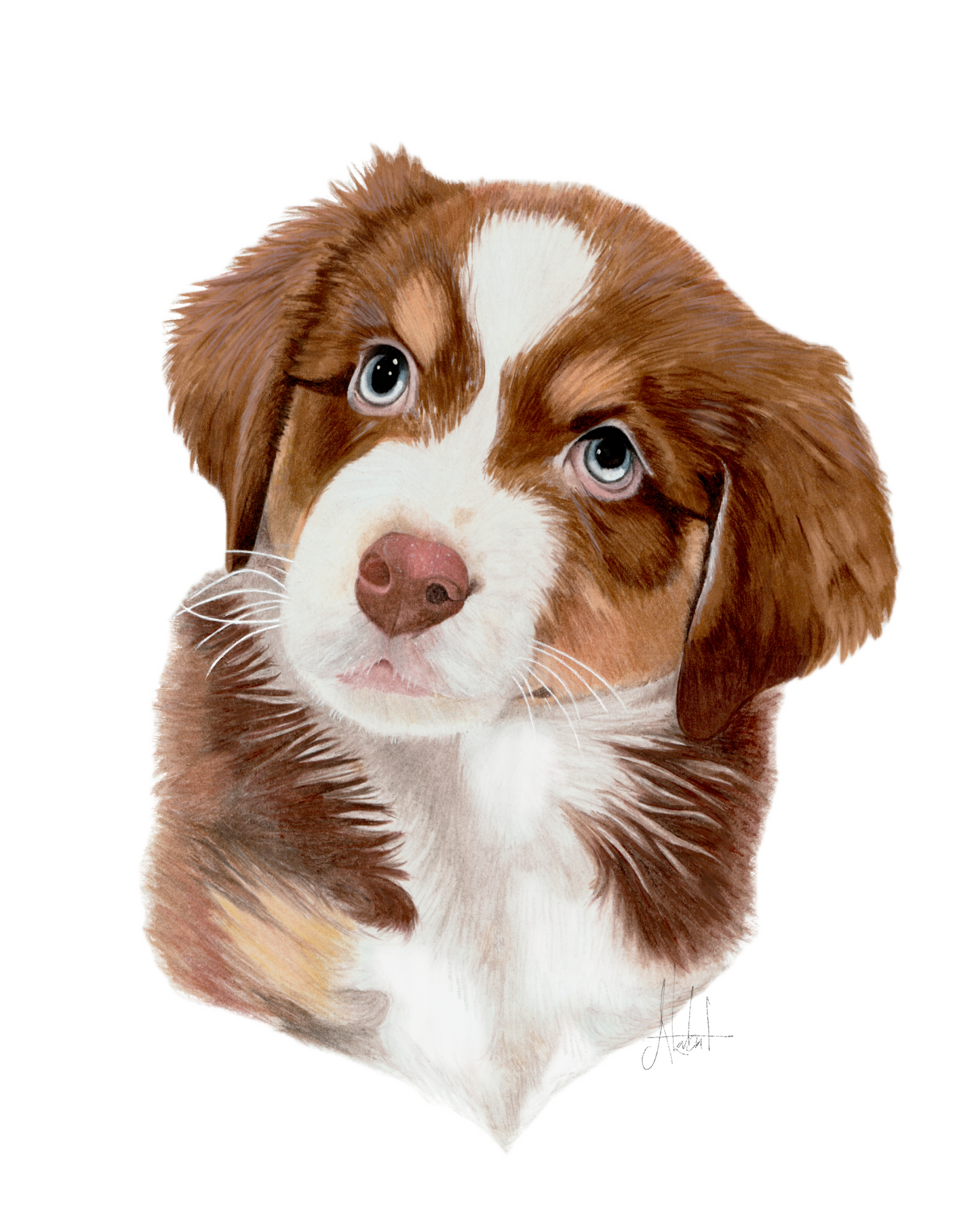 Hand Drawn Pet Portrait